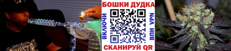  COCAIN Старица