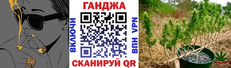 Каннабис OG Kush  Купить где  Старица 